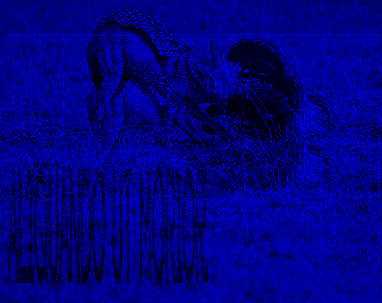 skinned-blue.png skinned-blue.png