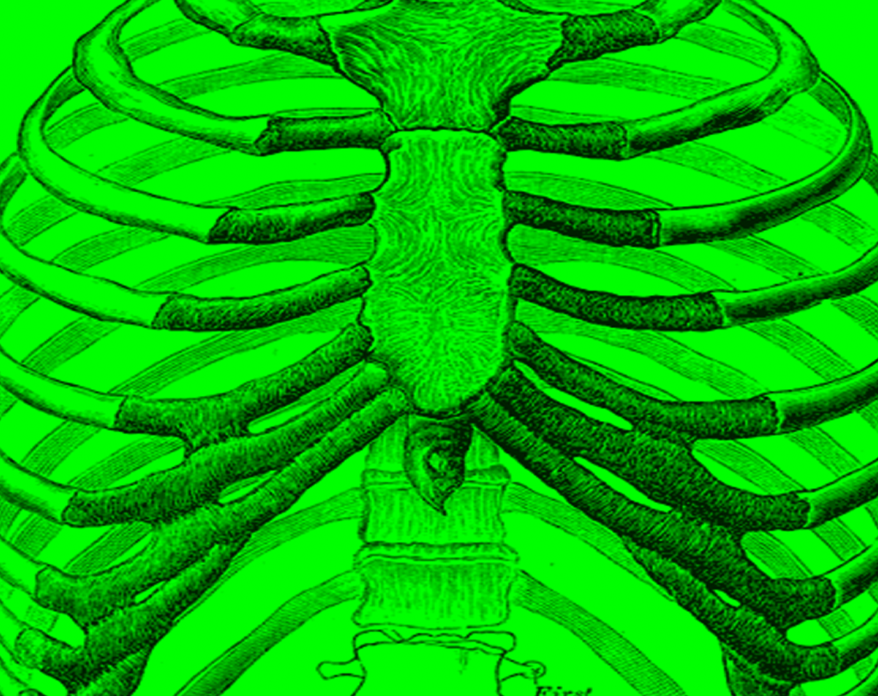 skinned-green.png skinned-green.png