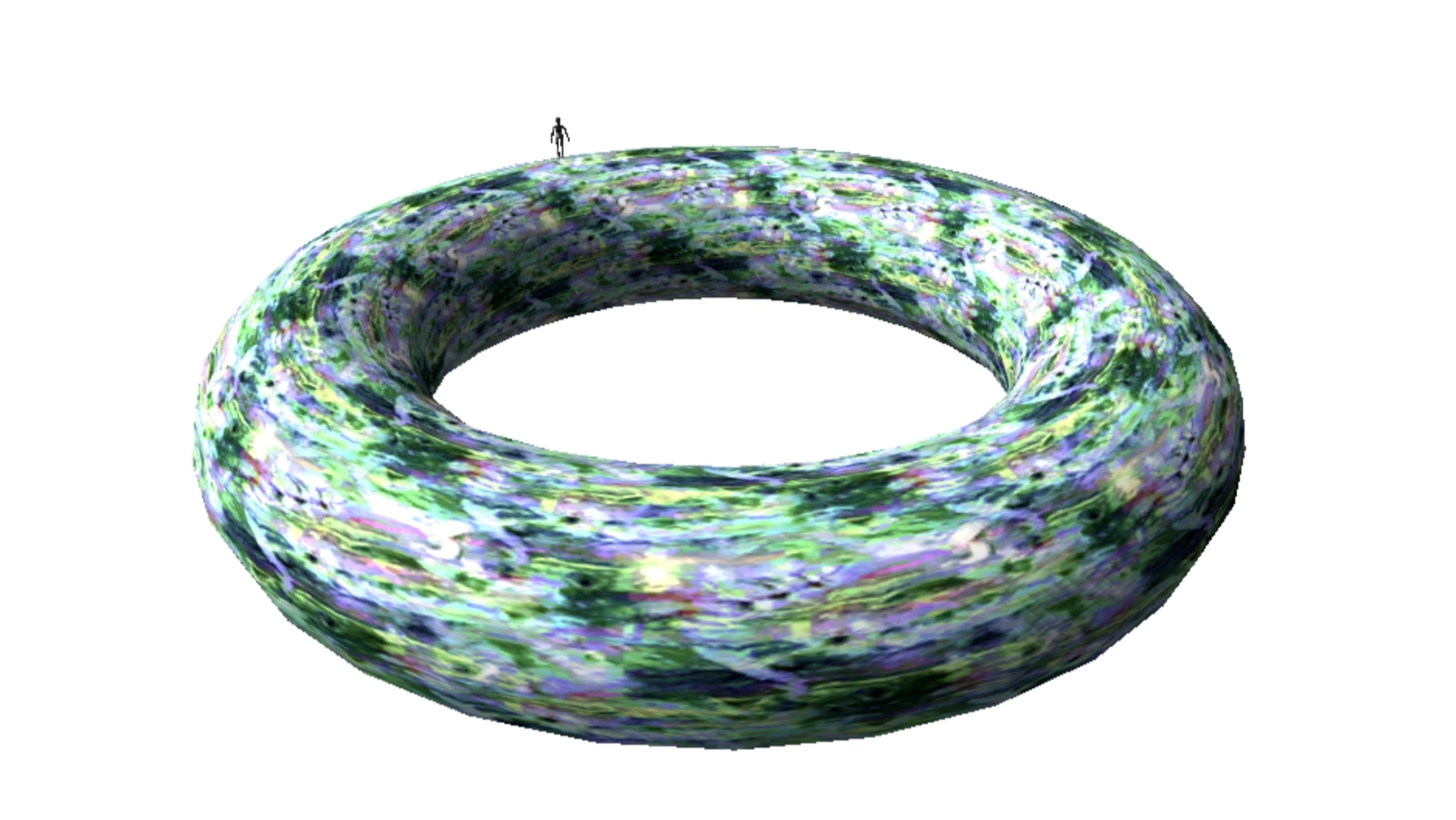torus_thumb.webp